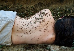 Karina Juárez, artista Arttextum