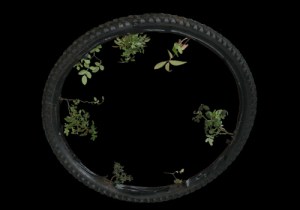 María Buenaventura, artista Arttextum