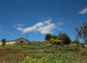 María Paula Falla, artista Arttextum
