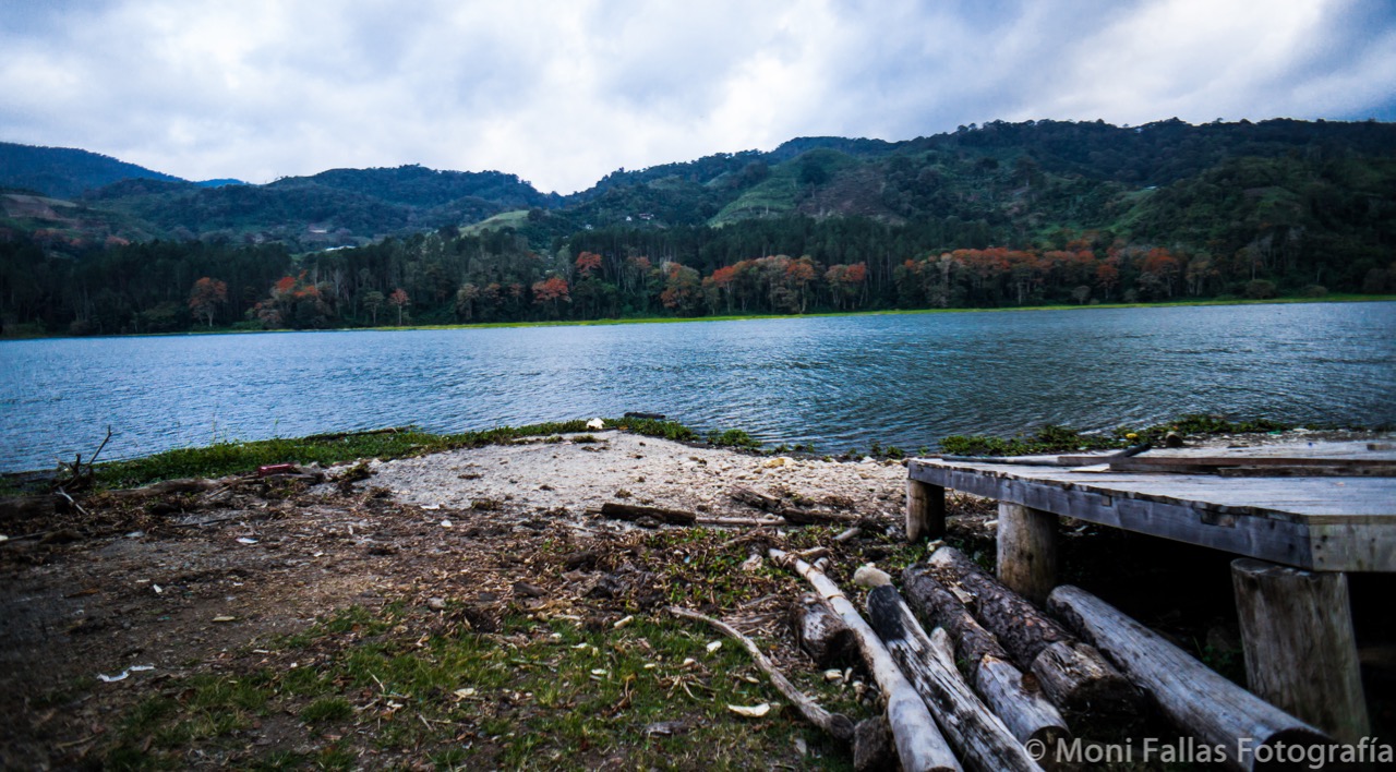 Bendita agua, bendito cielo, ¡bendita vida!