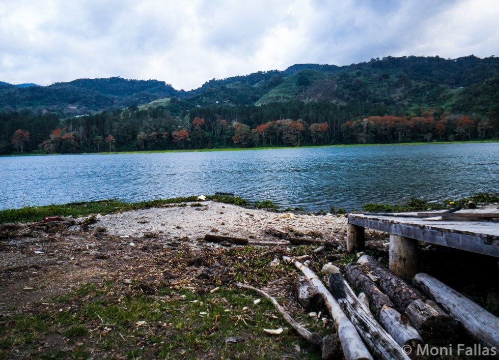 Bendita agua, bendito cielo, ¡bendita vida!