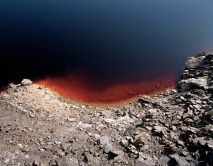 NOPHOTO, colectivo de fotografía contemporánea