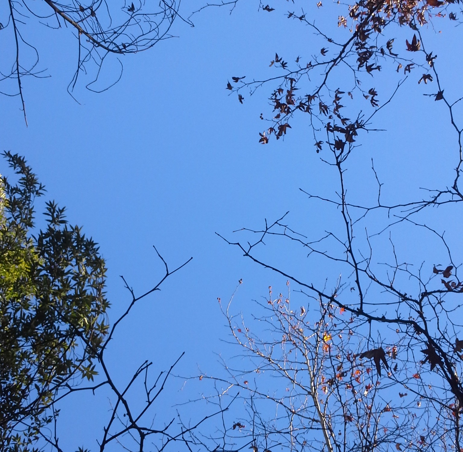 Silencio y sueño: Las dos necesidades de la mente que se han vuelto lujos