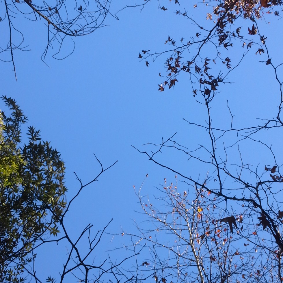 Silencio y sueño: Las dos necesidades de la mente que se han vuelto lujos