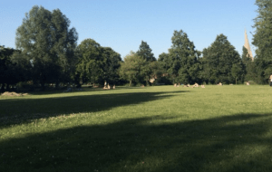 Durante un año, esta chica únicamente compraba lo necesario. ¡Mira cuánto logró ahorrar!