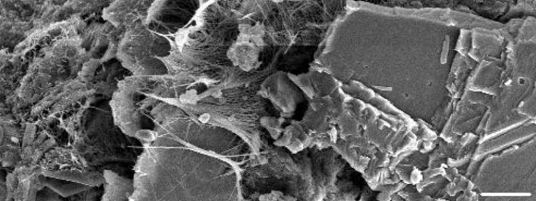Microestructura de un cemento Portland (comercial) que produce cuerpos opacos y la luz no puede ser transmitida a su interior.
