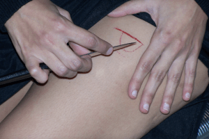 Regina José Galindo, artista Arttextum