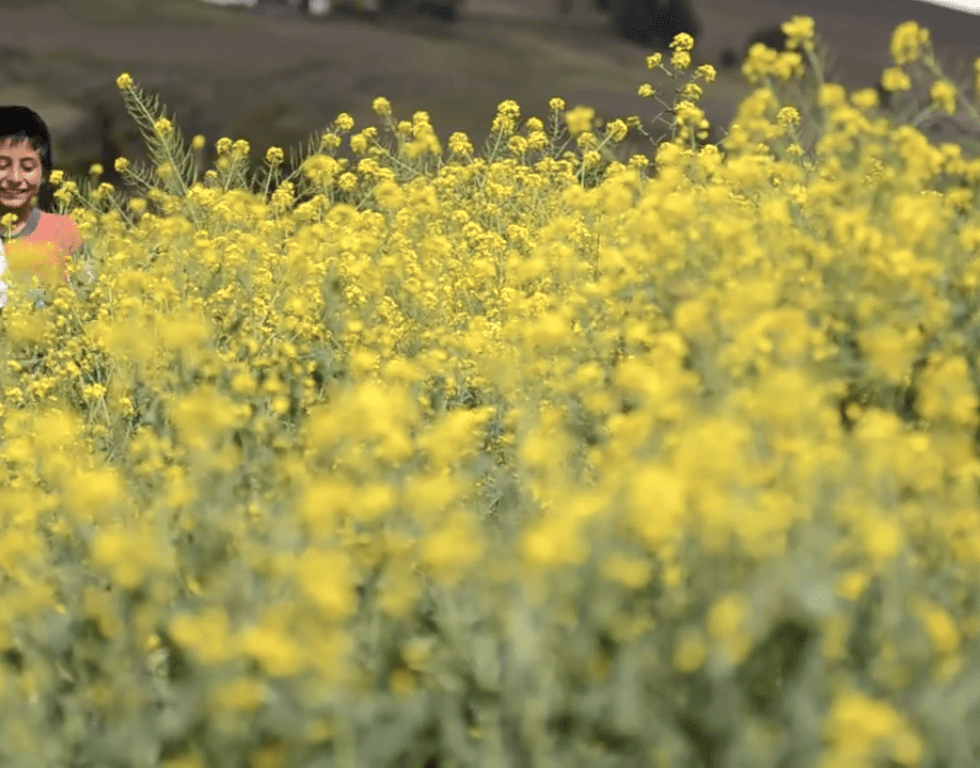 María Paula Falla, artista Arttextum