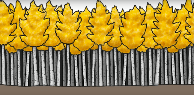 arttextum-replicacion