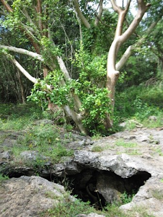 paisaje-karstico-arttectum-replicacion