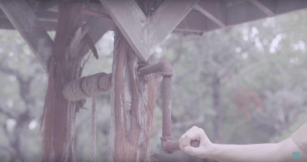 Wild Child – Crazy Bird